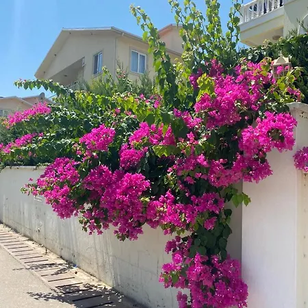 King Cleodora Apartmán Belek